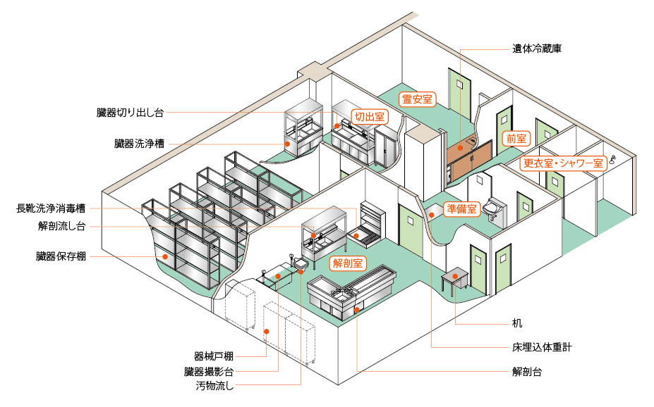 解剖・検査部 施工例